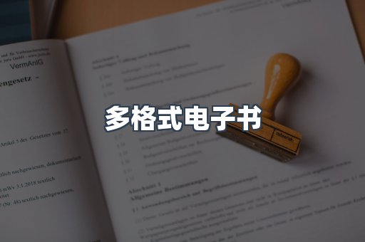 多格式电子书